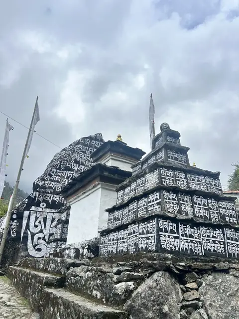 Gallery image 1